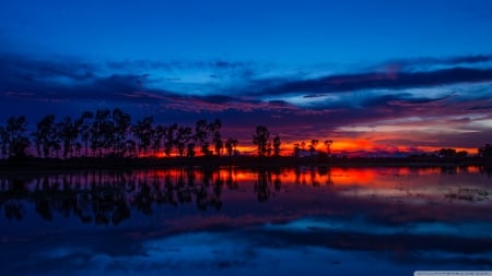 Vivid Sunset - nature, blue, vivid sunset, orange, sunsets