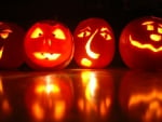 Row of Jack O Lanterns