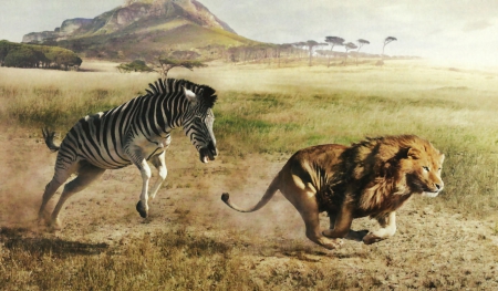 Real or Imagined? 2 - photography, photo, wide screen, equine, zebra, animal, feline, lion, wildlife