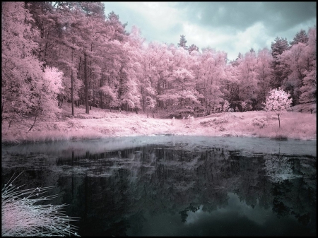 On the Lake in Autumn - lake, pink, reflection, nature, autumn