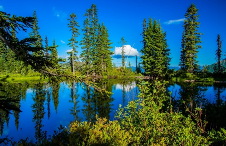 Reflections in lake - summer, landscape, reflections, beautiful, serenity, blue, lake, sky, lovely, trees, calm