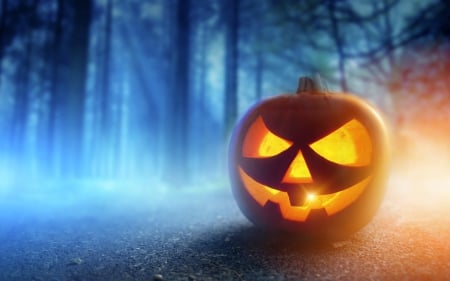 Halloween  - pumpkin, magic, light, colorful, halloween, art, forest, beautiful, color, head