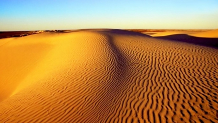 desert sands - sands, sky, desert, landscape