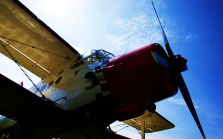 Bi-Plane - radial engined, sky, trainer, biplane