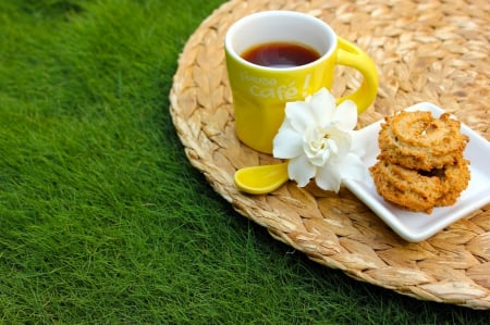 Tea break - white, spoon, yellow, tea, grass, flower, cup, cookies