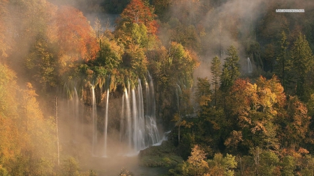 Misty Forest Waterfalls - waterfalls, forest, nature, autumn