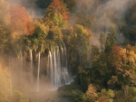 Misty Forest Waterfalls