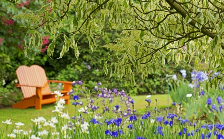 place for relax - nature, chair, garden, relax