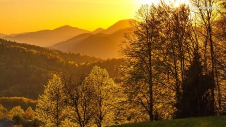 Over the Hills - trees, hills, nature, sunshine, golden