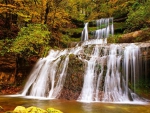 Golden Forest Waterfall