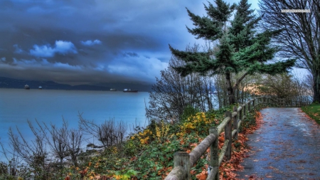 Road Along the Sea - nature, autumn, road, sea