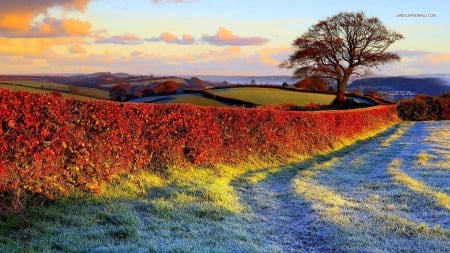 Amazing View of Autumn Valley - valleys, nature, autumn, fields