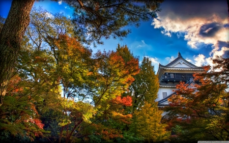 Japanese Autumn - nature, autumn, japanese, forests