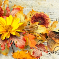 Music of Autumn