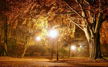 Lights of Autumn Park - season, autumn, skyphoenixx1, trees, way, night, park, path, nature, forest, evening, woods, lamps, leaves, lights