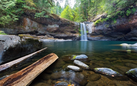 Forest Waterfall - nature, waterfalls, forests, rocks