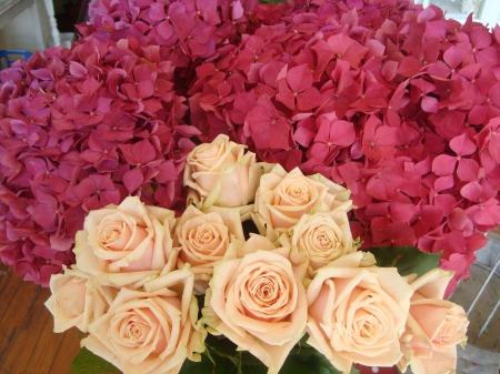 * Roses and hydrangea * - flowers, bouquet, flower, nature