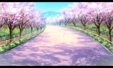 C: Blossom Path - pretty, anime, scenery, blossom, scene, pink, nice, clannad, sky, sakura, cherry blossom, beautiful, road, scenic, beauty, lovely, sakura blossom, sweet, flower, petals, floral