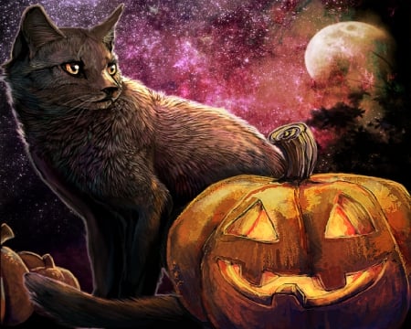 Hallowwen Cat - moon, halloween, pumpkin, cat