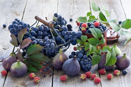 * Grapes and figs * - fresh, figs, fruits, nature, grapes