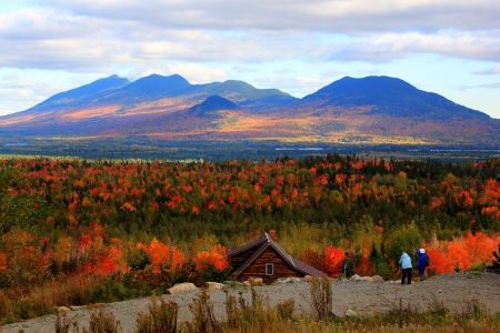 Autumn in Maine - fall, usa, landscape, cottage, trees, colors