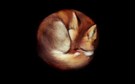 Sleeping Fox - foxes, sleeping, animals, fox