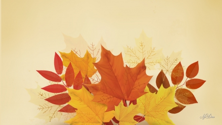 Leaves of Fall For You - aspen, brown, gold, maple, orange, leaves, fall, birch, autumn, ash, oak