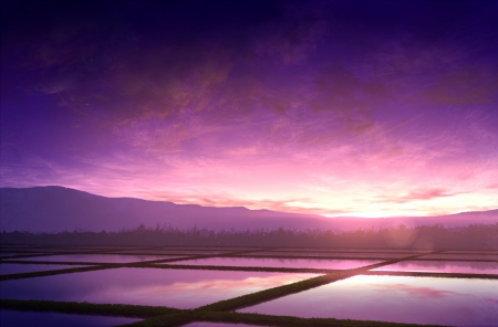 Rice Fields - rice, cg, japan, anime, scenery, purple, fields, japanese