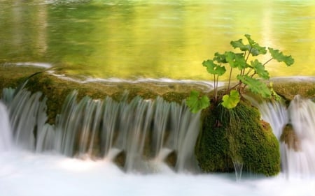 Waterfall - lake, fprest, water, green, spring