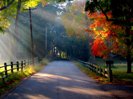 AUTUMN RAYS - nature, rays, autumn, morning, park