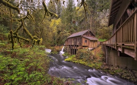 House in the Forest