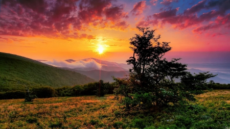 Sunset over the Mountains - nature, sky, trees, sunsets, mountains