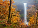 Silver Falls State Park