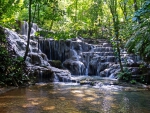 Lovely Forest Waterfall