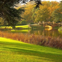 Lovely Park with Bridge