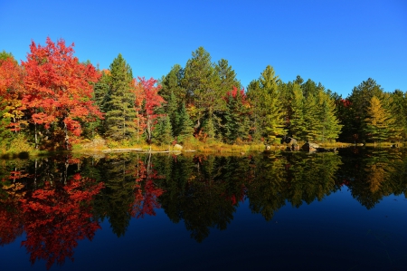 * Autumn lake * - lake, forest, nature, autumn