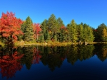 * Autumn lake *