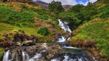 Amazing Waterfall - nature, water, waterfalls, trees