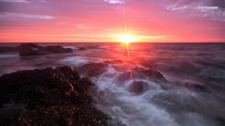 Ocean Sunset - nature, oceans, sky, pink, sunsets