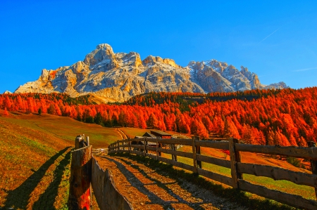 Autumn mountain - slope, sky, autumn, fence, trees, mountain, path, rocks, fall, beautiful, colors