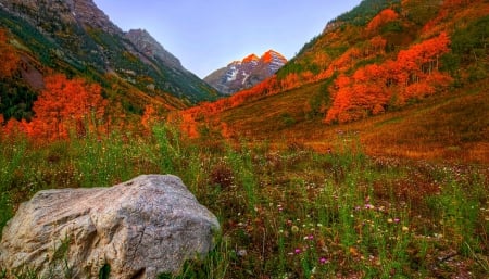 Autumn mountain - trees, beautiful, landscape, slope, lovely, mountain, fall, season, autumn, cliffs, rocks