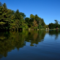 Blue Morning Pond