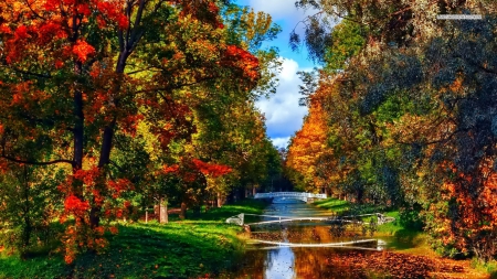 Beautiful Canal in the Autumn Park - nature, autumn, forests, park, canal, bridge