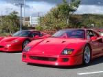 Ferrari F40, Ferrari F50