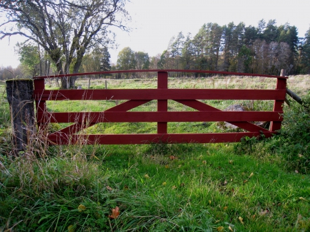 Red Gate - trees, landscape, gate, countryside, field, red, green, color, grass