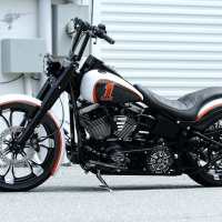 2010 HARLEY DAVIDSON FAT BOY LOW 240mm CUSTOM