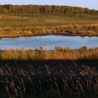 Fall in Central Alberta