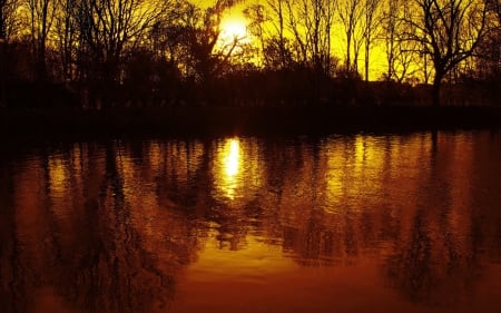 sunset - tree, nature, water, sunset