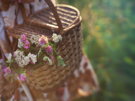 Basket Full Of Flowers - holding, girl, flowers, basket, grass, floral dress