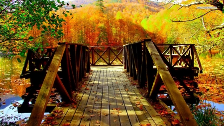 Beautiful View from the Pier - forests, piers, nature, autumn